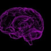 reprogrammer son cerveau et transformer sa vie