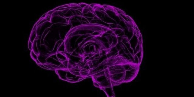 reprogrammer son cerveau et transformer sa vie