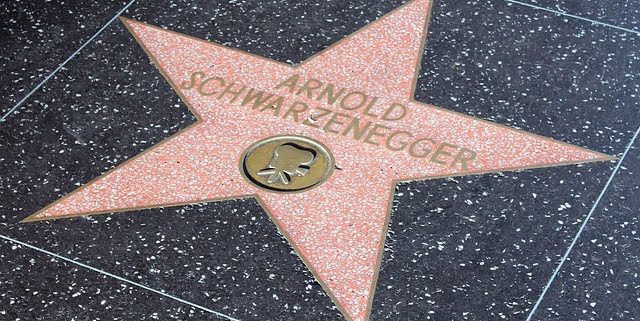 les règles du succès d'Arnold Schwarzenegger