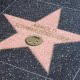les règles du succès d'Arnold Schwarzenegger
